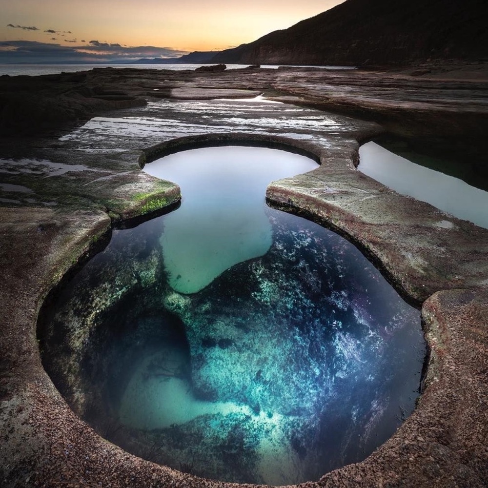 Meet your Posher, Arnita